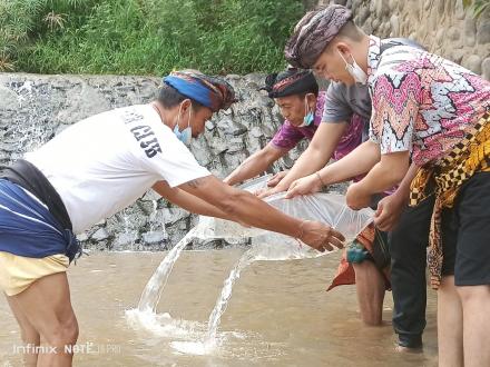 Perayaan Rahina Tumpek Uye di Desa Bungkulan – Penebaran Benih Ikan dan Pelepasan Burung